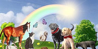 A depiction of the Rainbow Bridge: saying goodbye to a cat named Pichou.