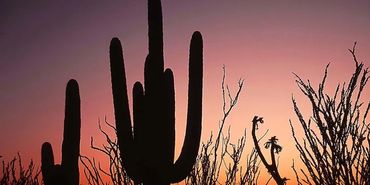 Sedona Airways
The Desert Airline
Scottsdale Airport
KSDL