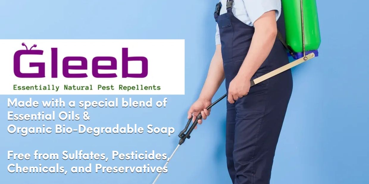 Pest control spray application 