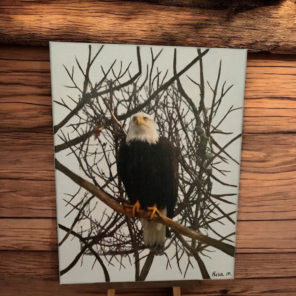Bald Eagle during Winter