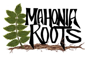 Mahonia Roots