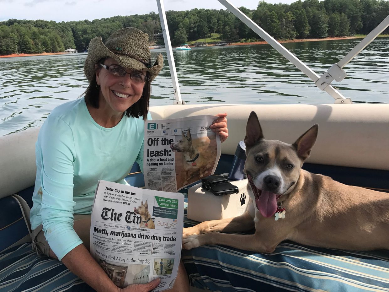 dog relaxing on boat while on pooch pontoon at lake lanier georgia