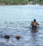 Pooch Pontoon and Dog Training in Gainesville, Georgia on
Lake Lanier
TTouch for your dog