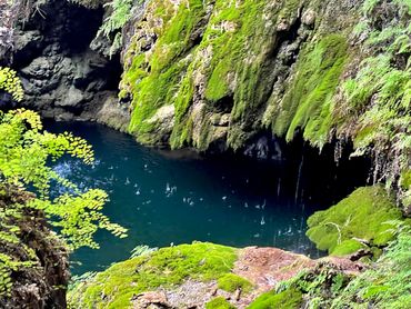 The gorgeous Grotto at Westcave, Seasonal Shifts Silent Hike and Sound