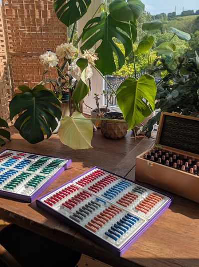 Colorful lips shades displayed on a table with plants in the background.