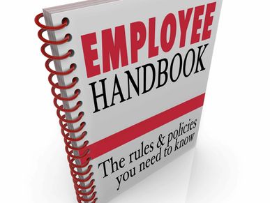 Employee Handbook
Employee Manual
Human Resources in Guyana
Employment Policies
HR Handbook
