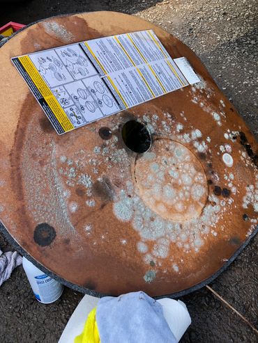 Trunk leak with spare tire cover mold growth.