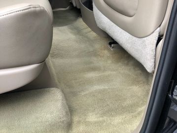 Carpet shampoo and dry plus ozone treatment.