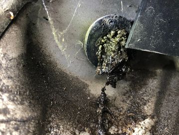 Automotive sunroof drain tube plugged. 