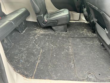Vehicle interior pet hair and mold growth in carpet.