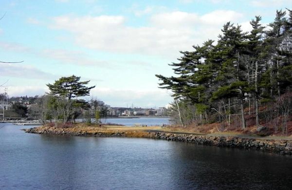 Deadman's Island in Halifax Harbour holds the bones of 195 War of 1812 Americans.