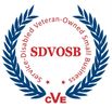 Service Disabled Veteran Owned Small Business (SDVOSB)