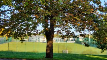 其聯繫大學 Loughborough University 在書院旁,只需步行5分鐘,共享教育資源,大學為英國全國排名為10名以內