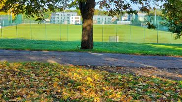 其聯繫大學 Loughborough University 在書院旁,只需步行5分鐘,共享教育資源,大學為英國全國排名為10名以內