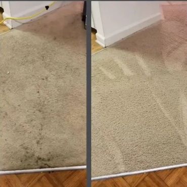 Side-by-side comparison of a dirty and freshly cleaned carpet.