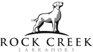 Rock Creek Labradors
