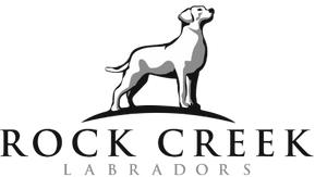 Rock Creek Labradors