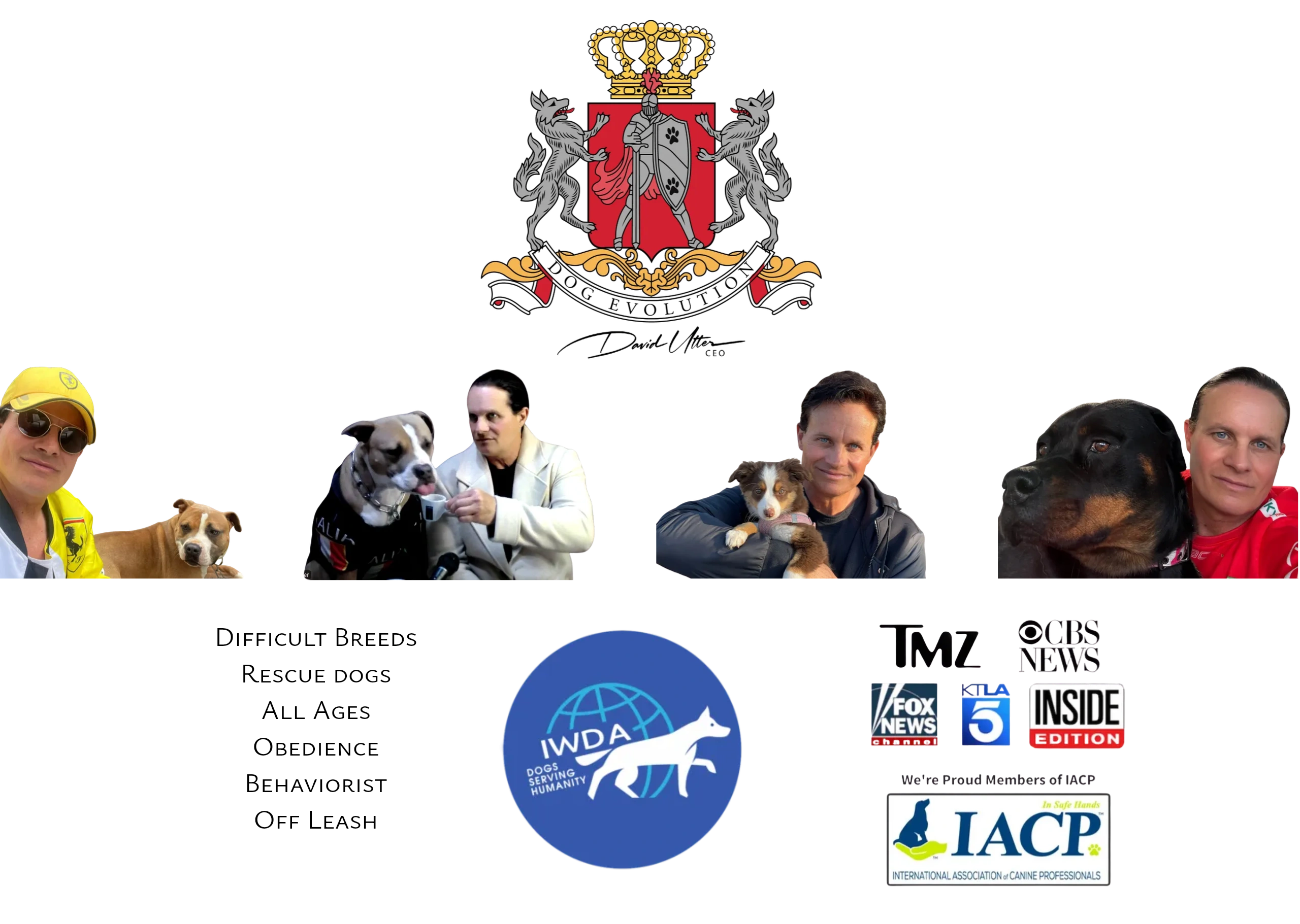 Difficult dog breeds and rescue dog training. Expert master dog trainer Irvine, Orange County CA.