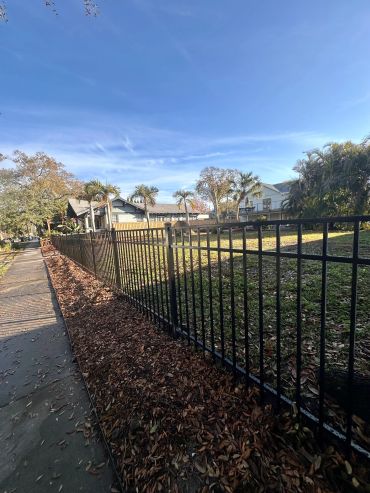A sunny street with houses behind a black fence.