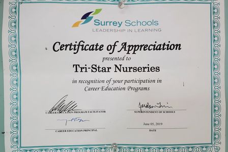 certificate of appreciation presented to Tri-Star nursery