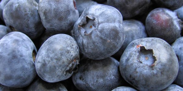 100% naturally grown Blueberries. No chemicals applied. 