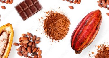 Variouus stages of exquisite hand made bean-to-bar Philippino chocolate