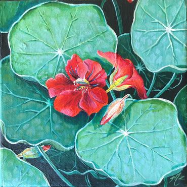 Modern Botanical Art, Miniature Nasturtium