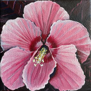 Modern Botanical Art, Miniature Hibiscus