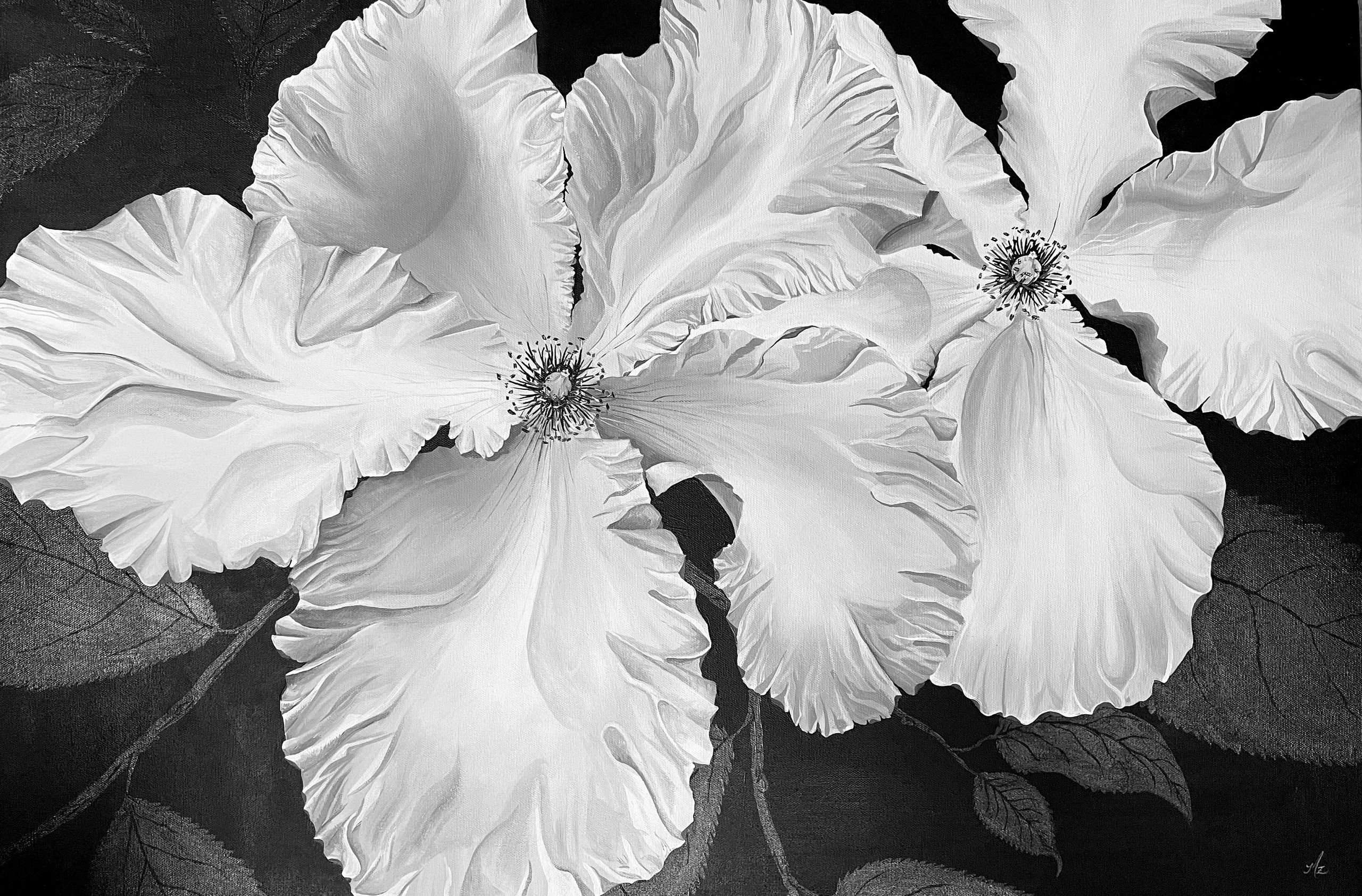 Modern Botanical Art, Stewartia