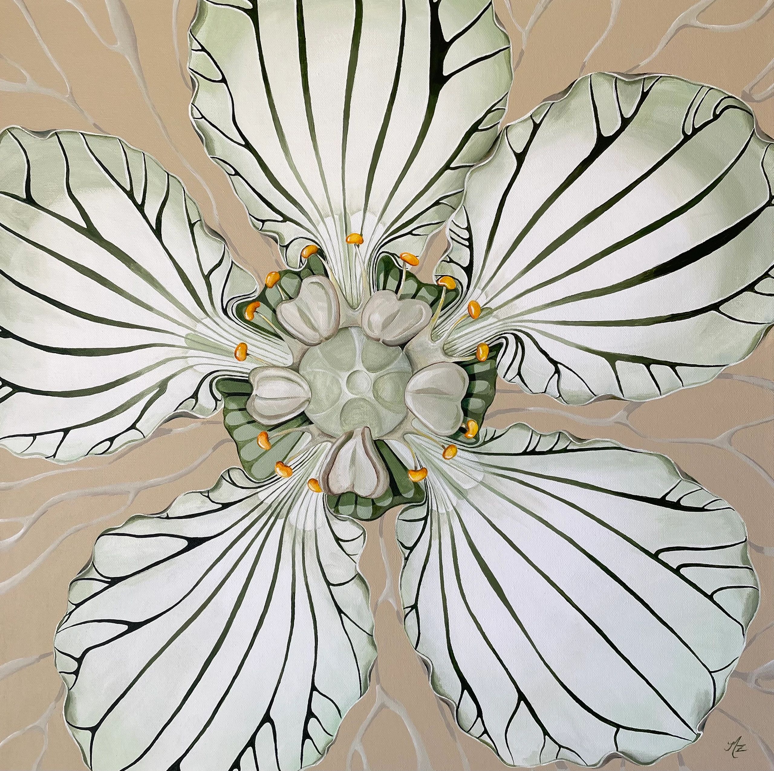 Modern Botanical Art, Grass-of-Parnassus