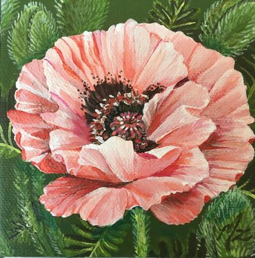 Modern Botanical Art, Miniature Pink Poppy
