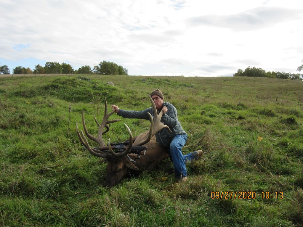 Bruce's Elk Hunt September 2020
1006lb,  quartered & hanging in meat locker 458lb.