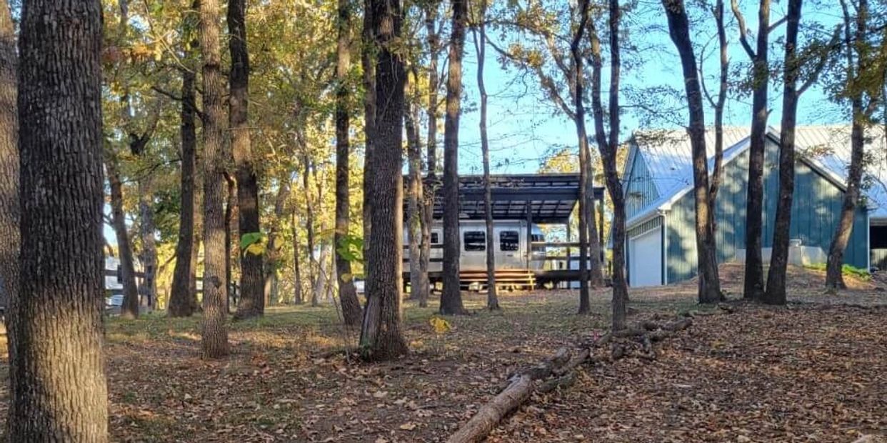 Woodland view of Airstream