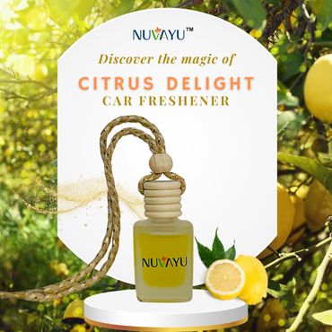 car diffuser hanging pod, aroma car air freshener, aroma air fresheners , car perfume, car fragrance