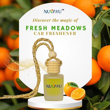 car diffuser hanging pod, aroma car air freshener, aroma air fresheners , car perfume, car fragrance