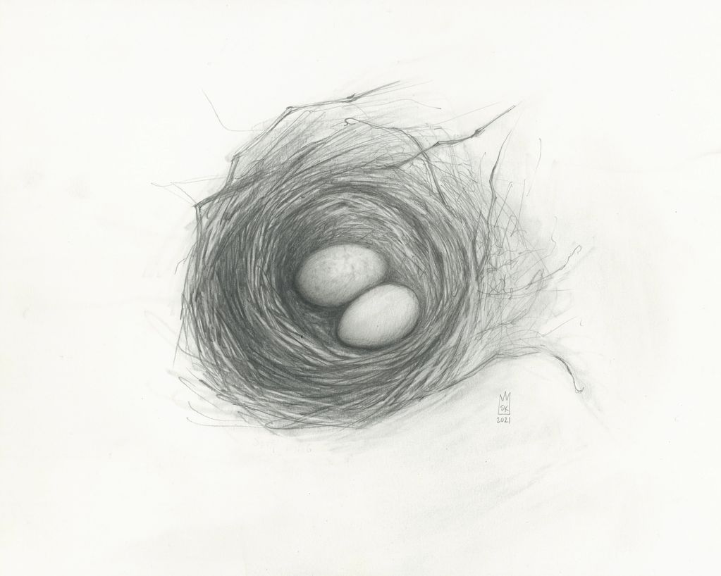11" x 14" black and white graphite illustration of a bird's nest with two eggs.