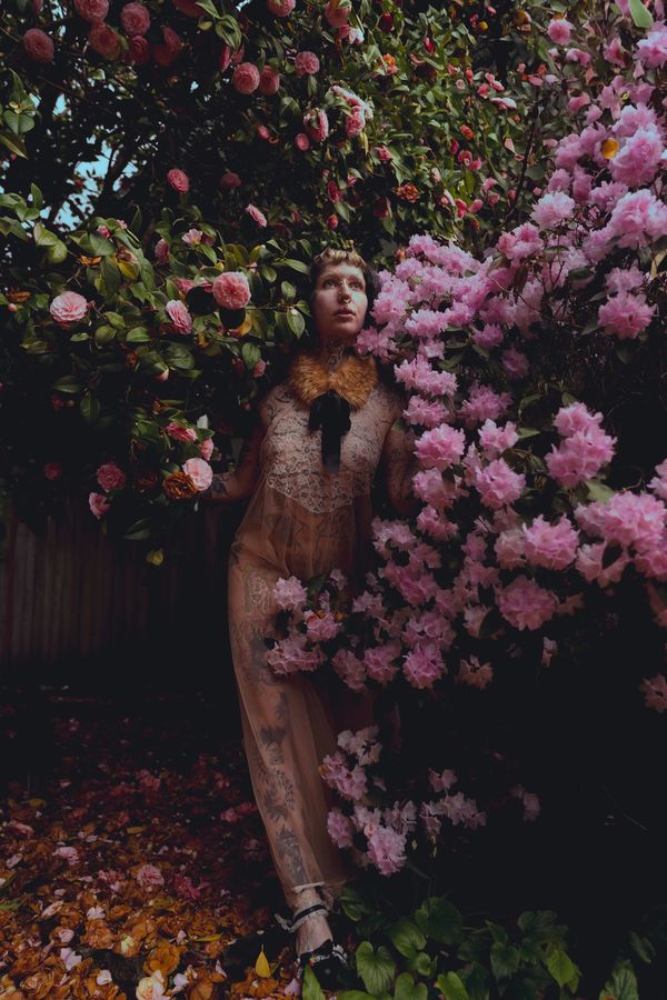 Woman in sheer dress surrounded by blooming pink flowers in a dark garden.