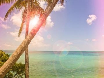 Destination Weddings