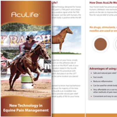AcuLife is a patch for your horse that you can get without a veterinary prescription!