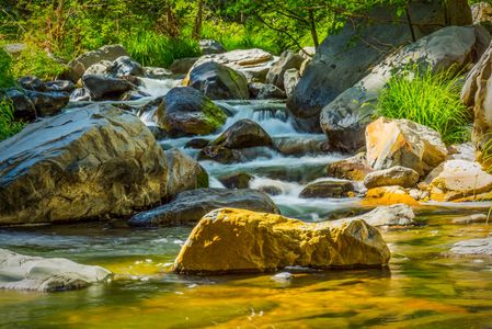 Oak Creek in Sedona, Arizona is full of lichen covering the rocks making the water appear yellow.