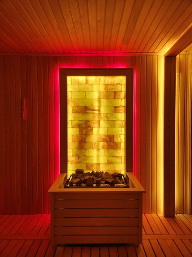 Özel bir Sauna sobası