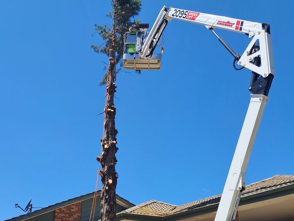A man cutting tray with heavy machinery