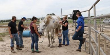 Volunteer opportunities are available at the Horse Rescue. Rewarding, memorable and appreciated.