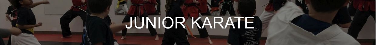 Kids practicing karate in a junior class.