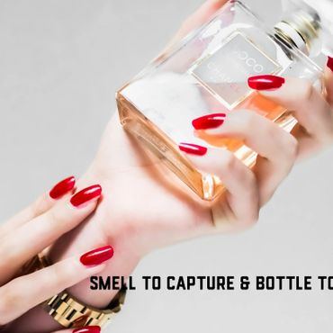 Woman Colection Perfume Bottle