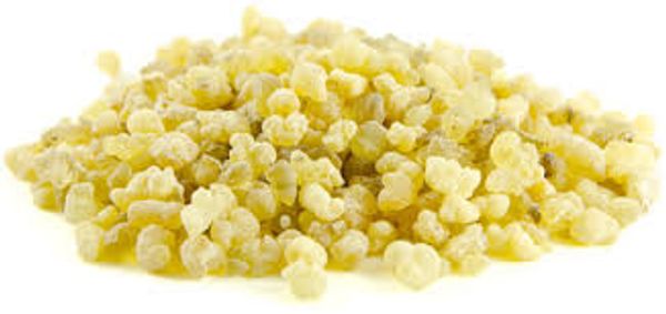frankincense, boswellia image, boswellia sacra frankincense
