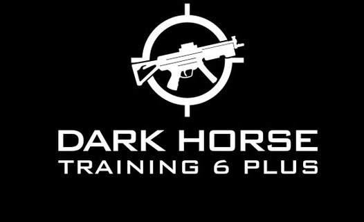 Dark Horse Training 6