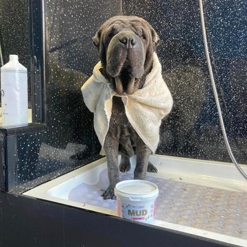 Our deep mud cleansing service