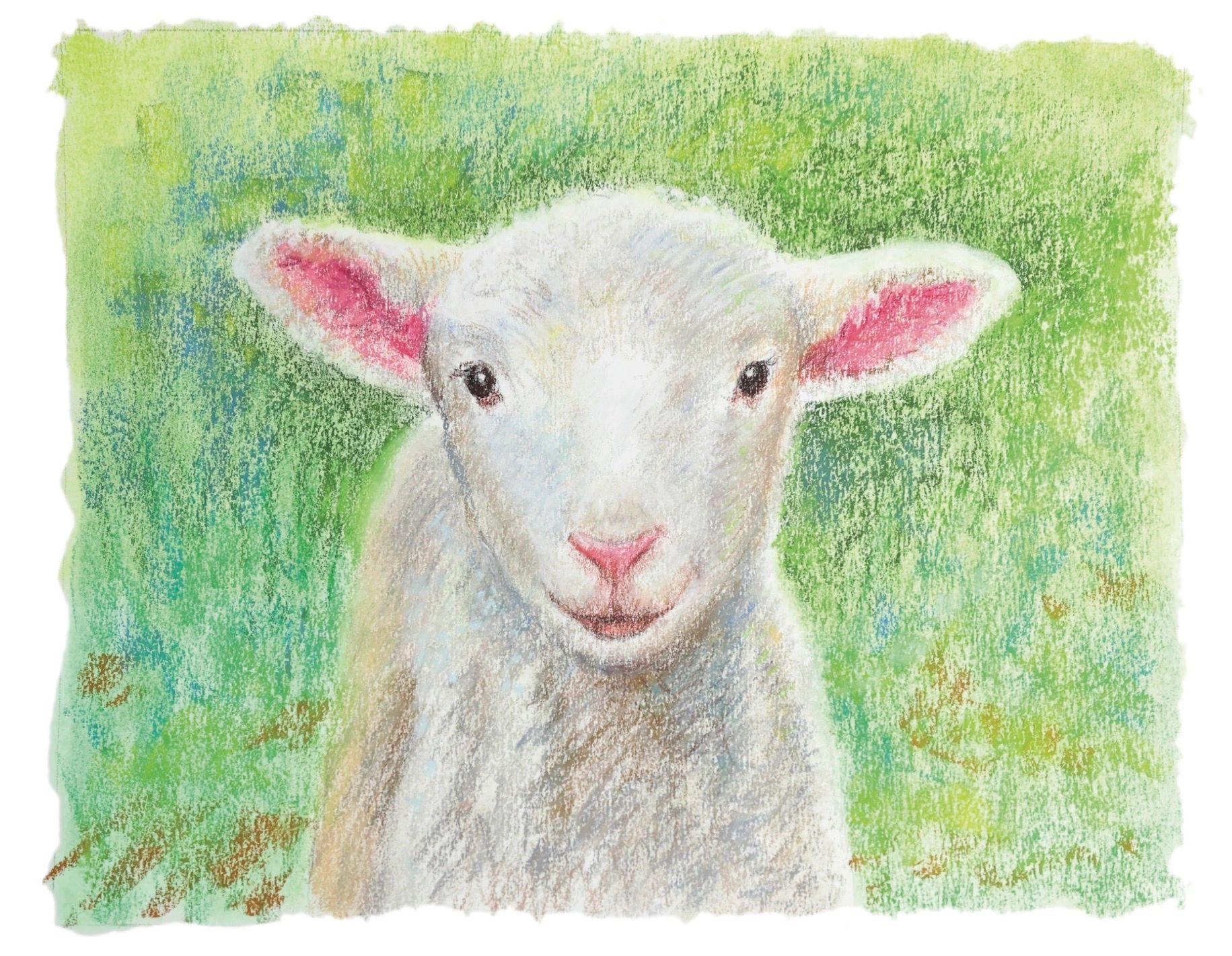 A sheep paint