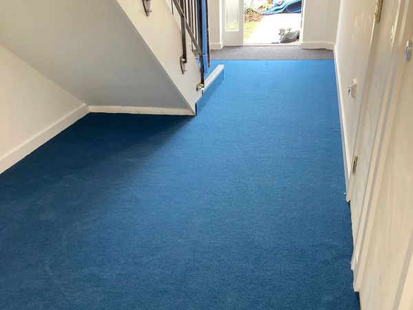 Blue carpet texture communal hallway